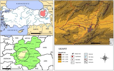 Erzurum Ovası ve Daphan Ovası Havzalarında Yaşayan Kırsal Nüfusun Sürdürülebilir Kırsal Kalkınmaya Bakışı
