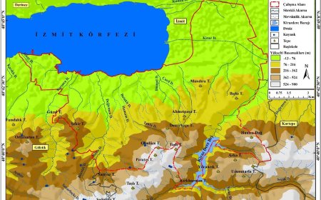 Şehir Fonksiyon Alanları Üzerine Bir Araştırma: Başiskele İlçesi Örneği