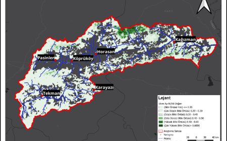 Google Earth Engine ve MODIS Tabanlı NDVI Verileri ile Aras Nehri Yukarı Kesiminde Bitki Örtüsü Üzerindeki Ekim Ayı Değişimlerinin İncelenmesi (2001-2022)