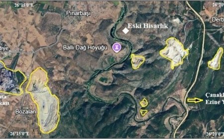 Araplar Boğazı sulak alanı (Ezine, Çanakkale) üzerindeki çevresel tehditler, çözüm önerileri ve sürdürülebilir yönetimi