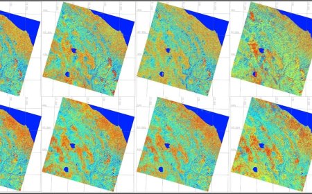 Gathering predictors of biodiversity change and reconstructing land cover history in Central Apennines using machine learning and remote sensing data