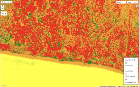Orman yangını yönetiminde Google Earth Engine (GEE) ve Python Engine (PE) ile yakıt yükü analizi: Karşılaşılan güçlükler ve sağlanan avantajlar